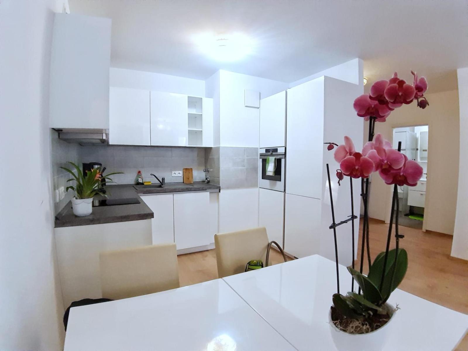 Lea Apartment Zentrum Lipsko Exteriér fotografie